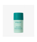 PATE GRISE STICK GOMMANT PURIFIANT 25g